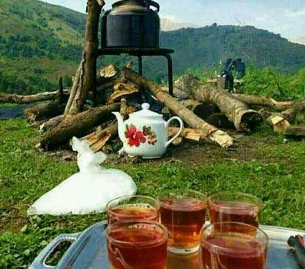 عکس چای و قوری در طبیعت