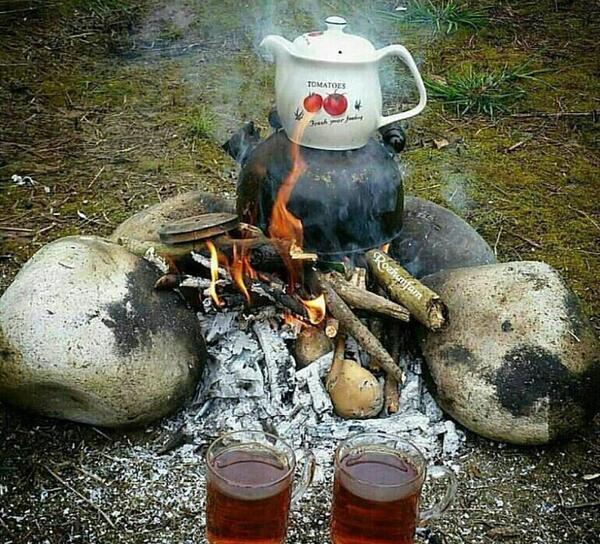 عکس چای و قوری در طبیعت