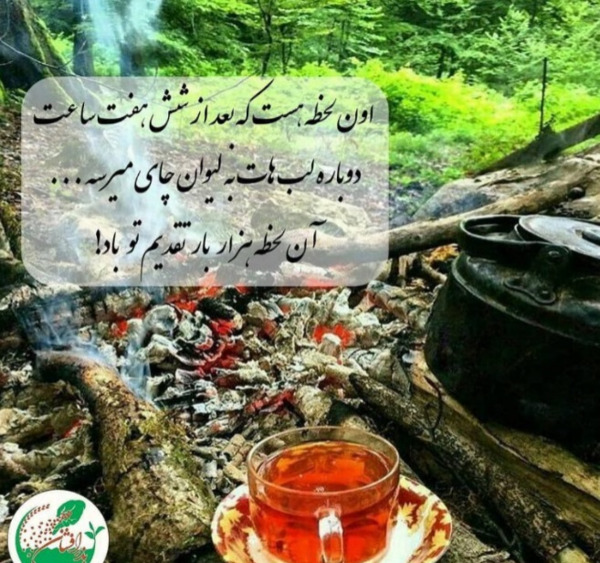 عکس چای و قوری در طبیعت