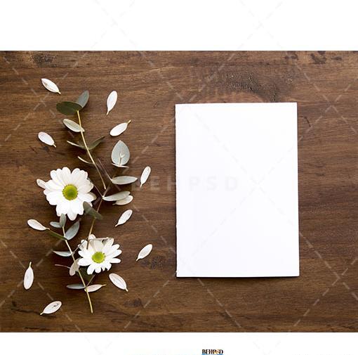عکس صفحه سفید