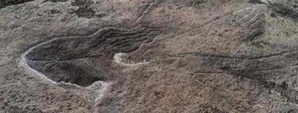 عکس آهو روی سنگ نشانه چیست