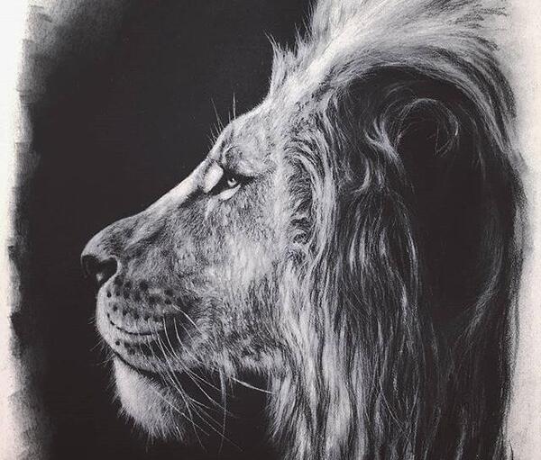عکس صورت شیر سیاه و سفید
