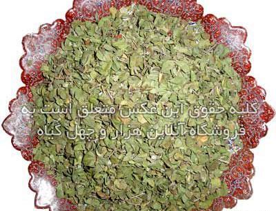 عکس گیاه آویشن خشک شده