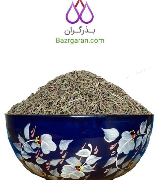 عکس گیاه آویشن خشک شده