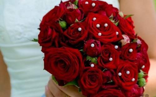 عکس گل رز زیبا و خاص