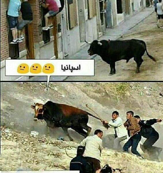 عکس طنز سال گاو