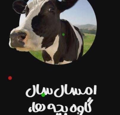 عکس طنز سال گاو