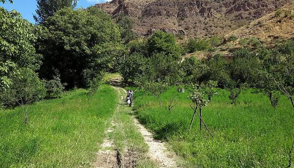 عکس طبیعت روستایی