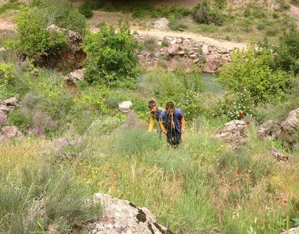 عکس طبیعت روستایی