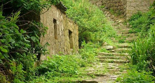 عکس طبیعت روستایی