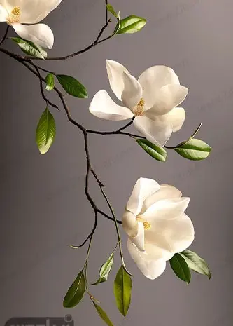 عکس سفید طبیعی