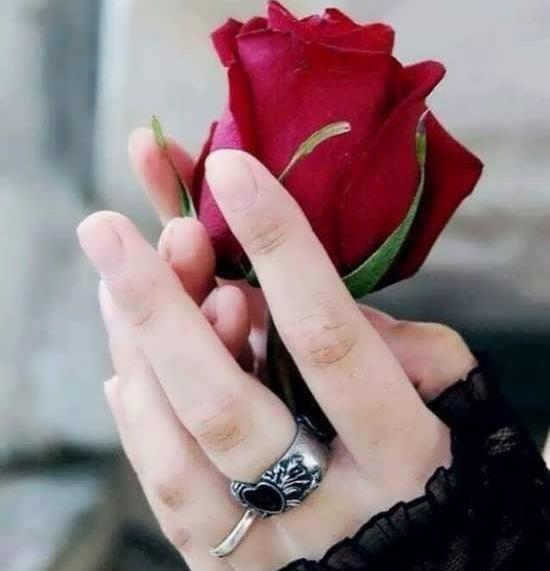 عکس برای پروفایل گل