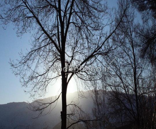 عکس تنهایی طبیعت