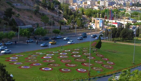 عکس طاووس جدید شیراز