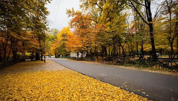 عکسهای زیبا از طبیعت گرگان
