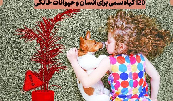 عکس حیوان ذرتی