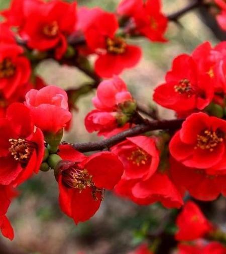 عکس طبیعت عادی