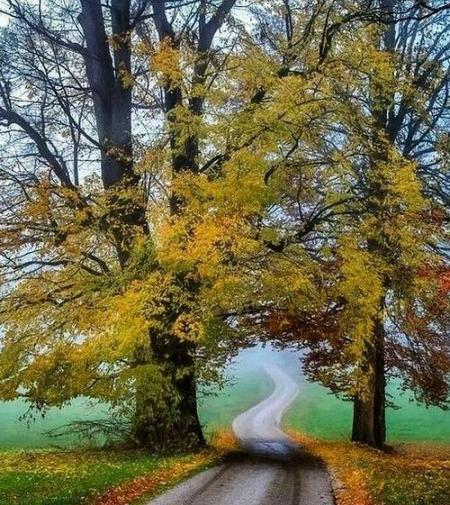 عکس طبیعت عادی