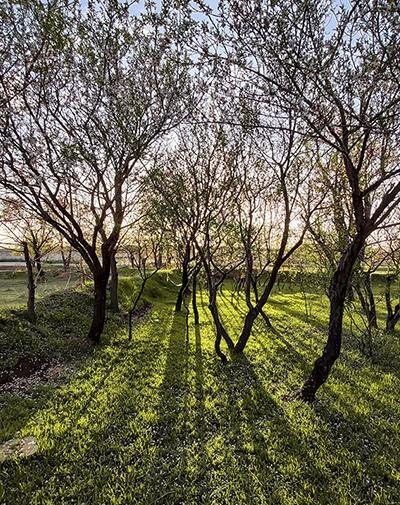 عکس طبیعت عادی