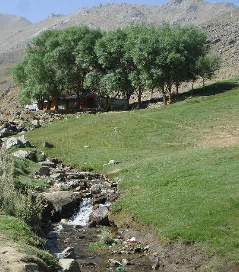 عکس طبیعت عادی