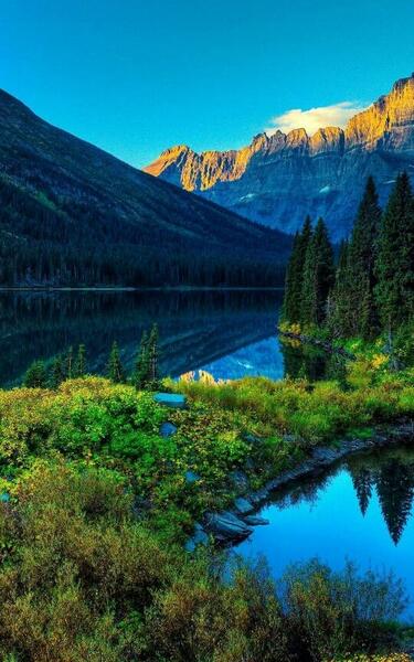 عکس از طبیعت زیبا برای پس زمینه