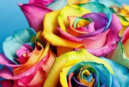 عکس دسته گل های زیبا برای پروفایل