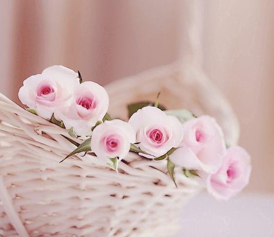 عکس دسته گل های زیبا برای پروفایل