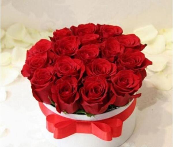 عکس گل فرانسوی ملینا