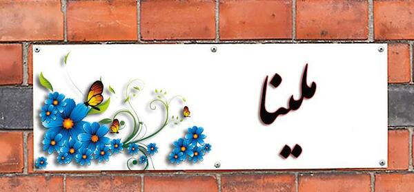 عکس گل فرانسوی ملینا