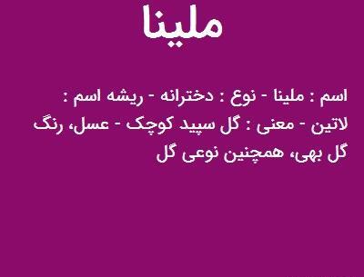 عکس گل فرانسوی ملینا