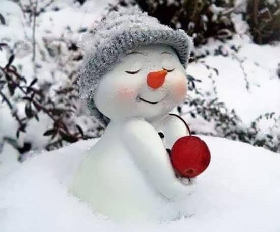 عکس خوشگل ترین ادم برفی