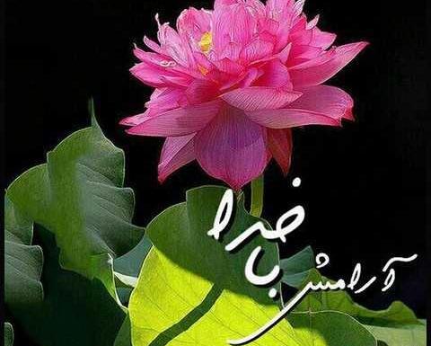 عکس نوشته خدا و گل