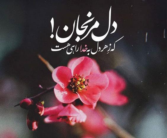 عکس نوشته خدا و گل