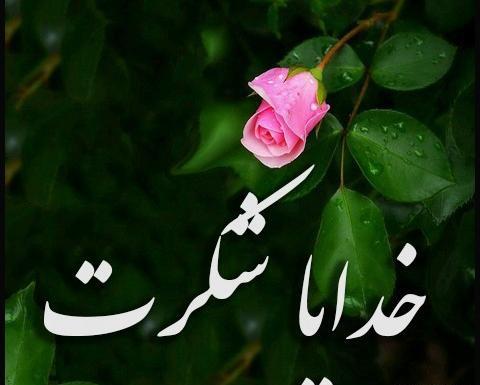 عکس نوشته خدا و گل