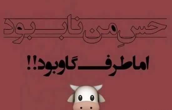 عکس نوشته ساز خاص