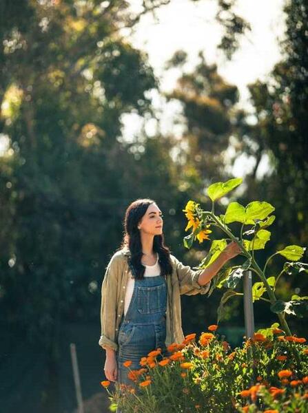 عکس پروفایل طبیعت تابستانی
