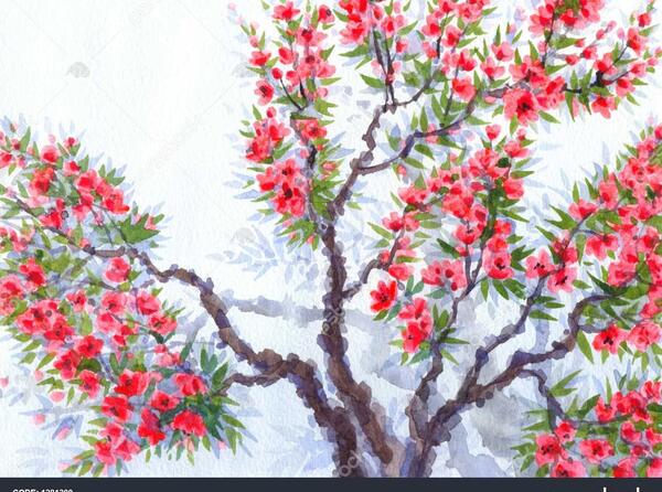 عکس بهار سرسبز