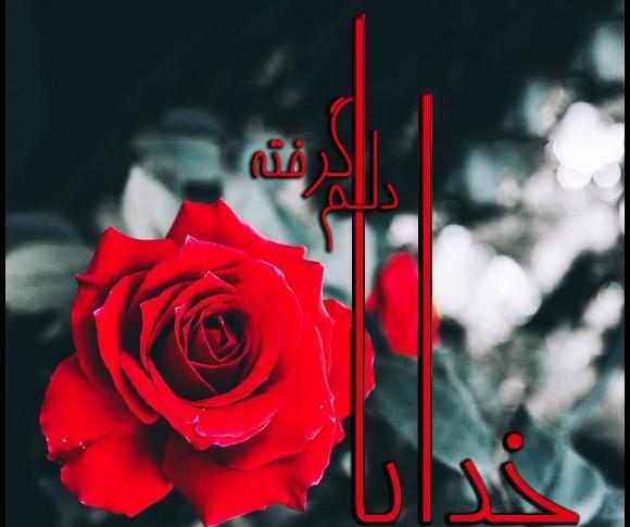 عکس نوشته خدایا آدمات