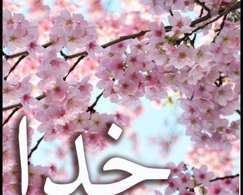 عکس نوشته خدا صورتی