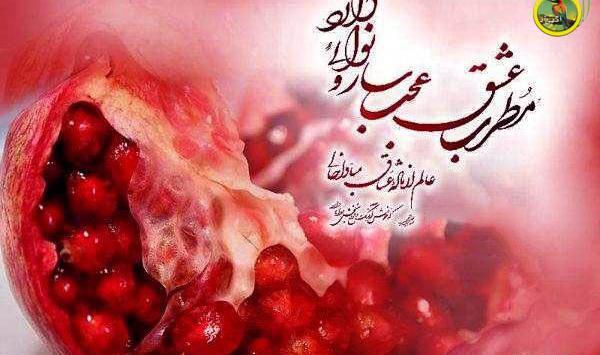عکس امام زمان و شب یلدا