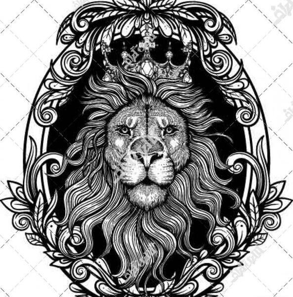 عکس تاتو شیر