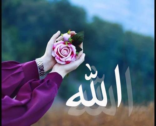 عکس الله و قران
