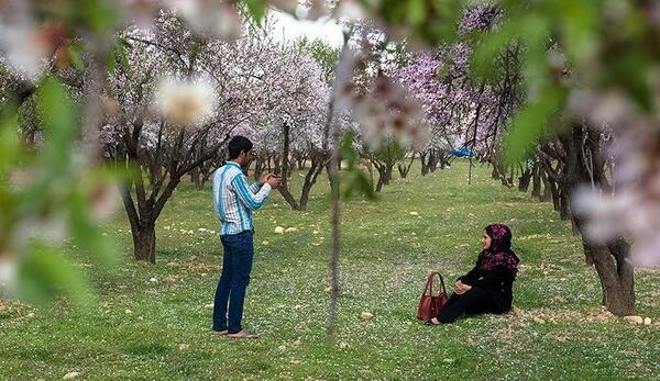 عکس بهار عاشقی