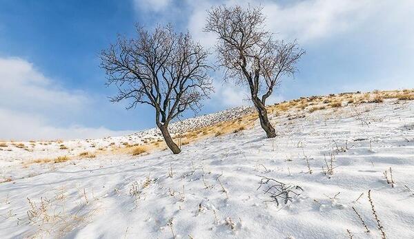 عکس از طبیعت در زمستان
