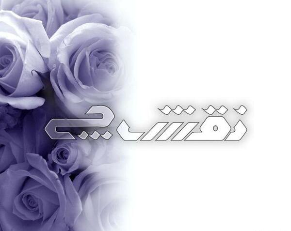 عکس گل بنفش