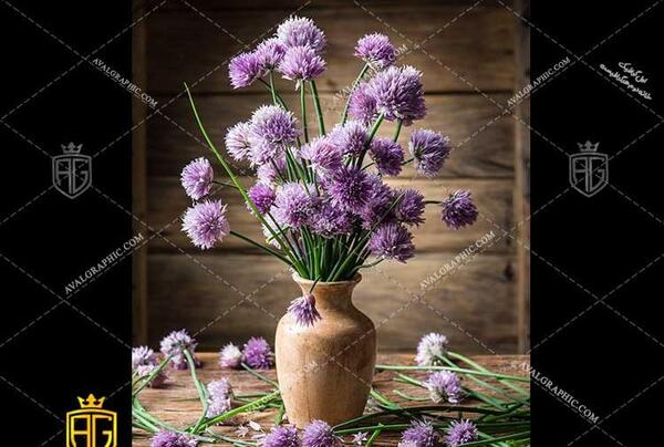 عکس گل بنفش