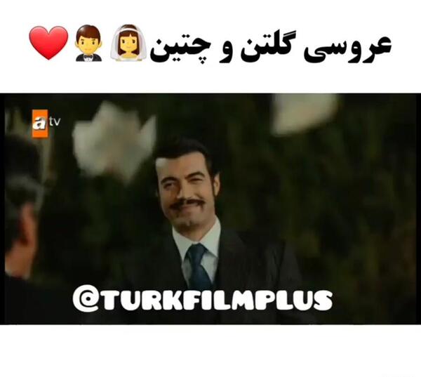 عکس گل تن