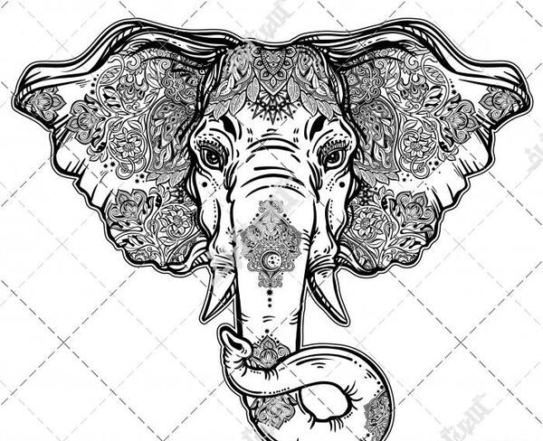 عکس تاتو فیل