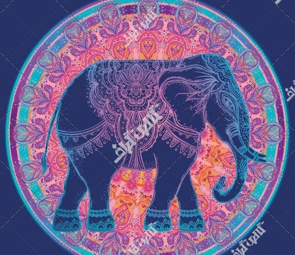 عکس تاتو فیل