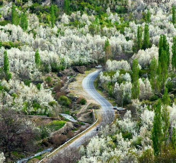 عکس بهاری ایران